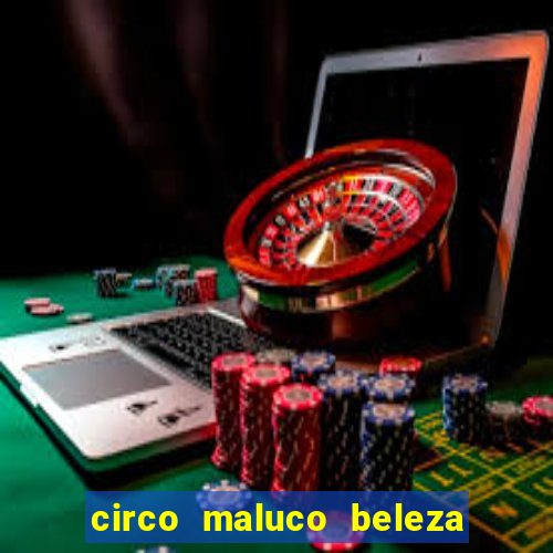 circo maluco beleza recife circo maluco